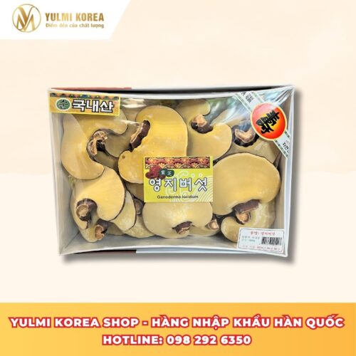 nấm linh chi vàng
