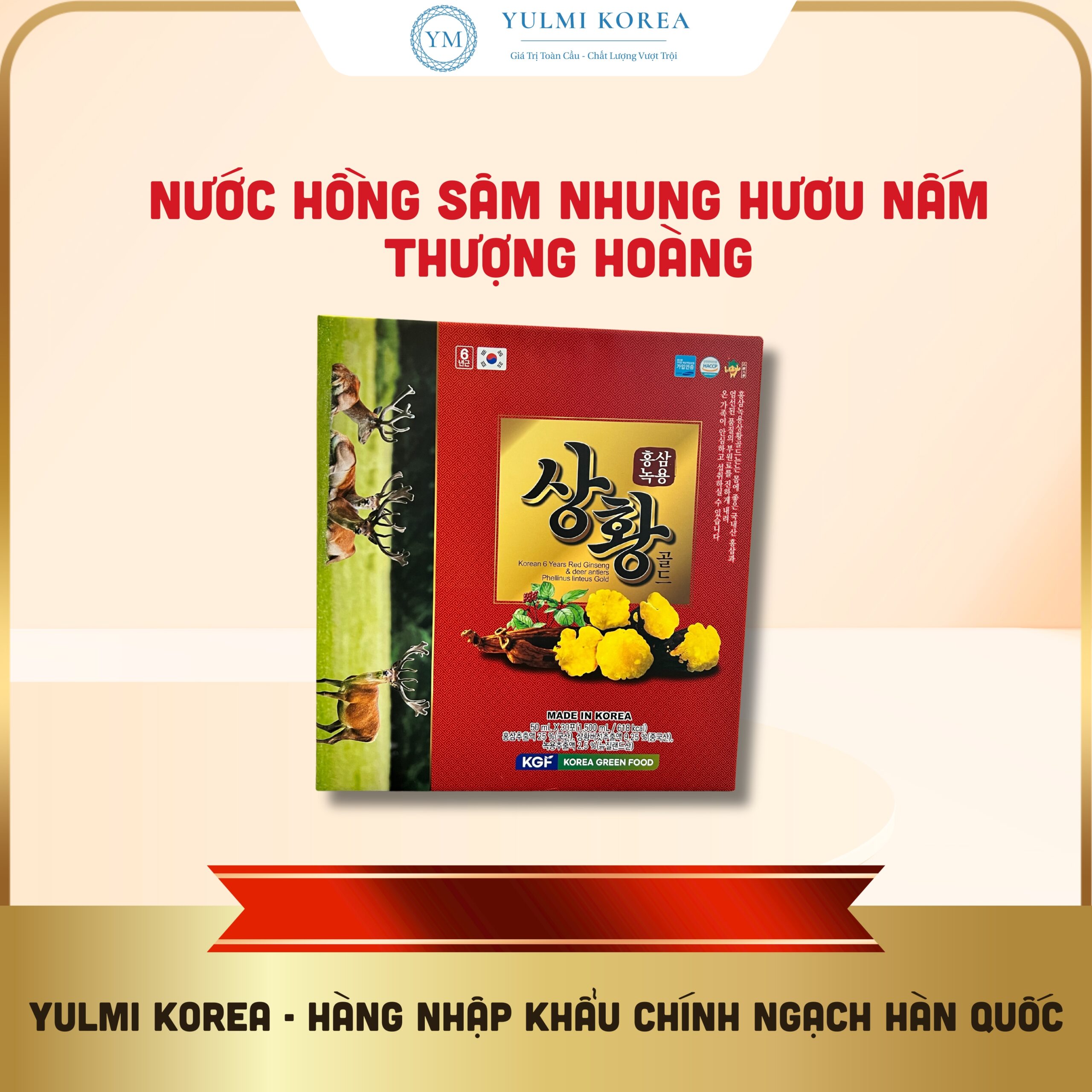 nước hồng sâm nhung hươu nấm thượng hoàng